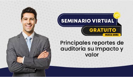 Seminario Virtual Gratuito: Principales reportes de auditoria su Impacto y valor